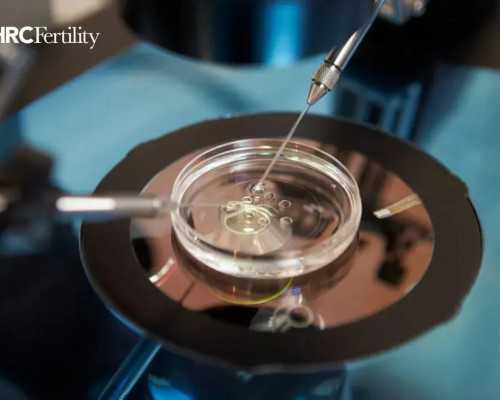 深度解析：供卵试管婴儿的适应症、成功率及流程