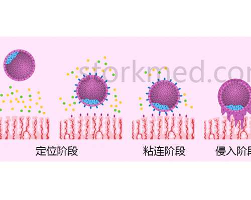 深圳供卵试管婴儿费用明细及2026年最新费用指南