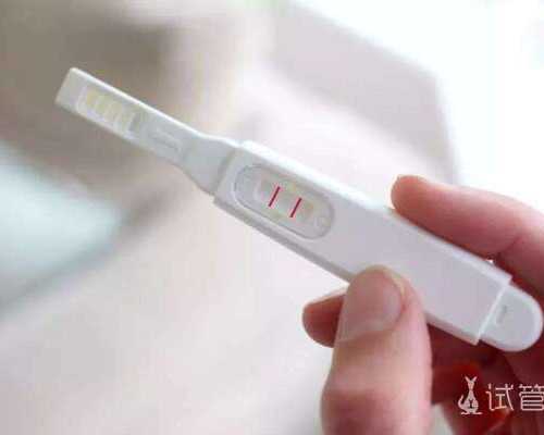 44岁供卵助孕成功率探究