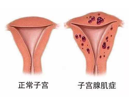 供卵女孩_供卵公司有哪些,长春供卵的私立机构名单更新，附2026供卵生男孩限制