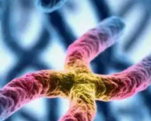 云南供卵试管费用明细及流程解析，助力生子之路