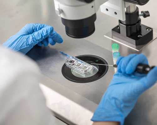 借卵试管生殖医院的供卵者如何匹配？