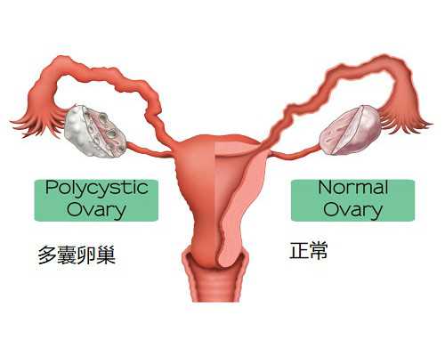 武汉哪家正规助孕机构做供卵试管比较好？,武汉正规供卵机构名单汇总，这几