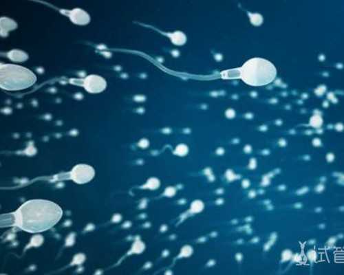 排名前十名北京试管助孕公司,北京试管助孕机构,找女人代怀产子公司,试管婴儿