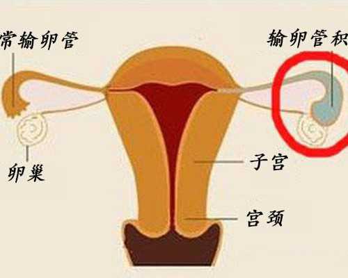 上海新华医院的试管婴儿成功率与套餐分析