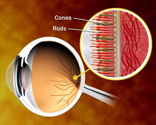 供卵的途径_绝经女性做供卵,最新吉林供卵试管婴儿费用价目表，2026吉林最好的