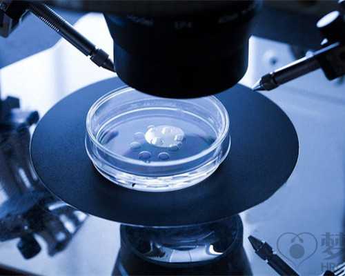 金贝供卵口碑_供卵不排队医院,2026高龄上海供卵医院选择指南，附10家正规供卵