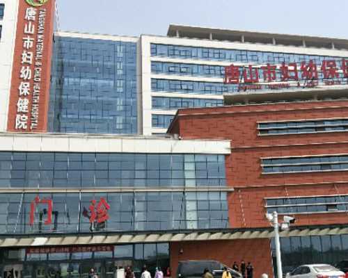 试管婴儿生育指南：从供卵选择到分娩计划