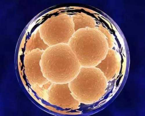 供卵试管后悔了_供卵生孩子的后果,淮北哪里能供卵做三代试管？