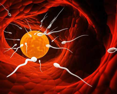 武汉代孕试管婴儿的法律解读与机构优选指南