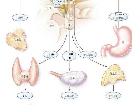 揭秘北京协和医院三代供卵试管婴儿费用：影响价格的关键因素